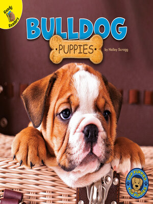 cover image of Bulldog Puppies
